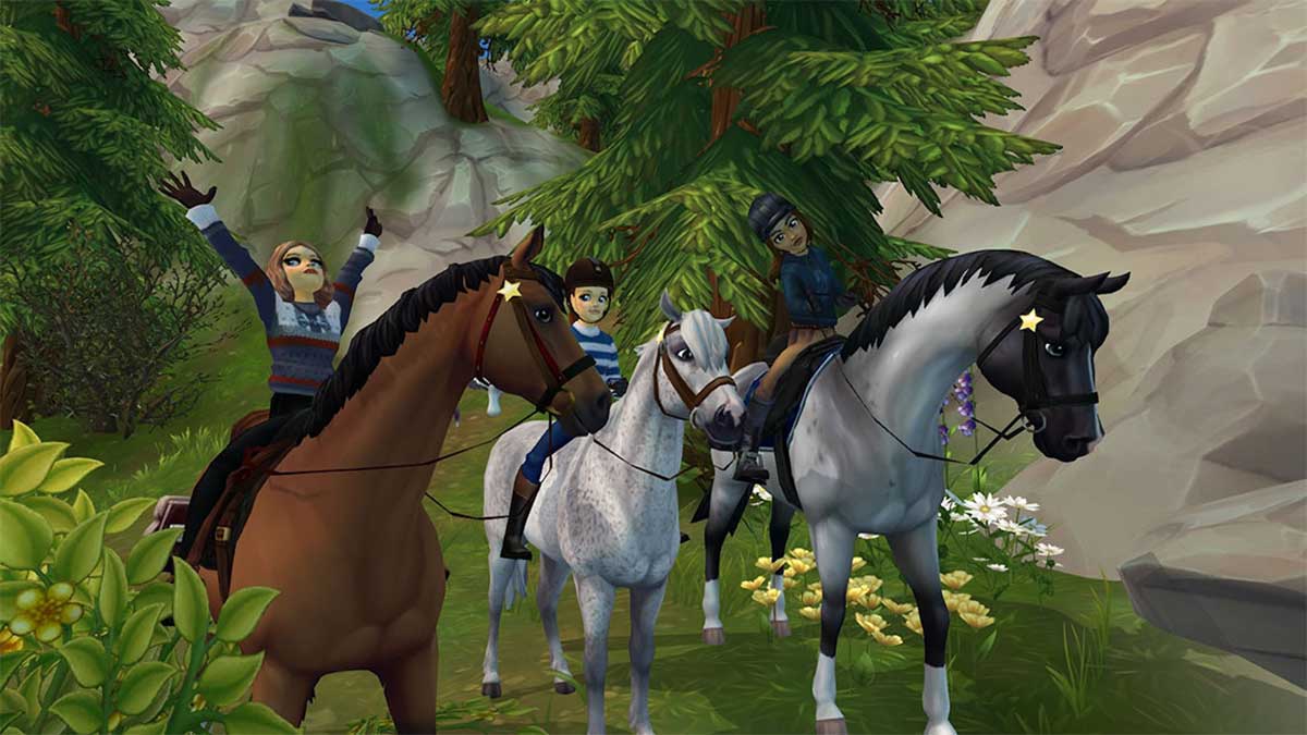 Star Stable Codes for Star